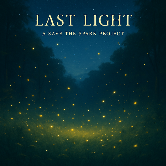 🌌 Why Fireflies Matter (And Why They’re Disappearing